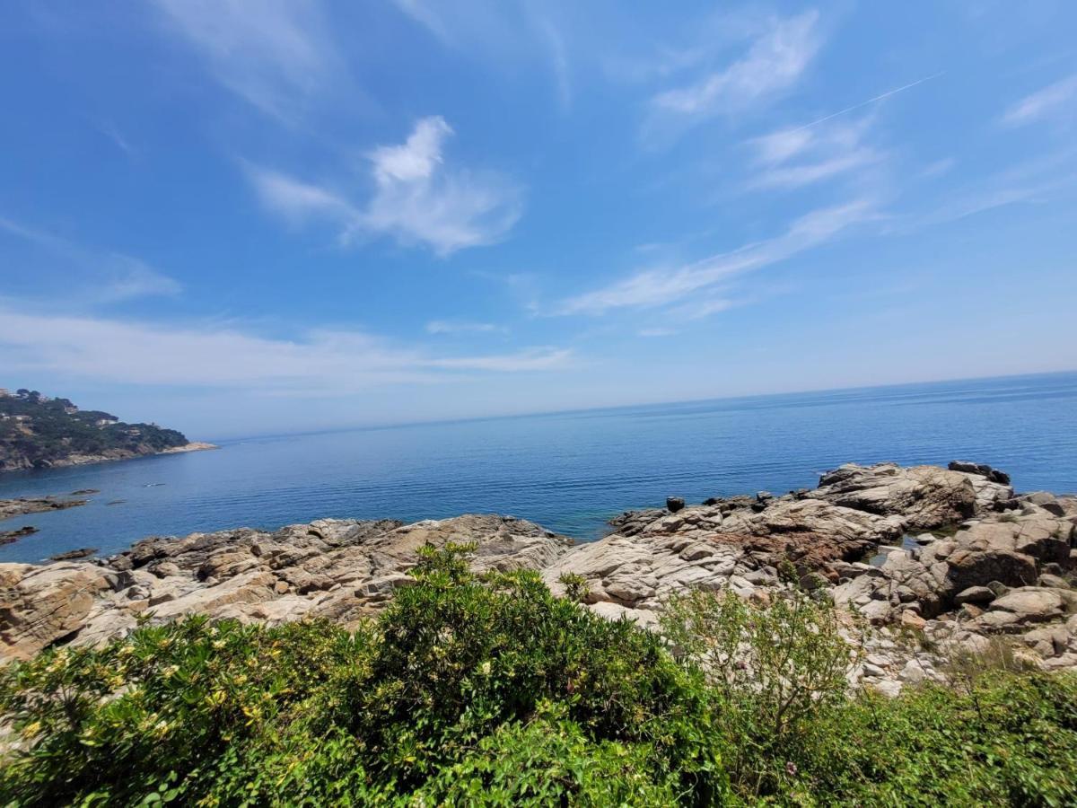 Playa Canadell MAR P primera línea de mar con terraza Calella De Palafrugell Exterior foto